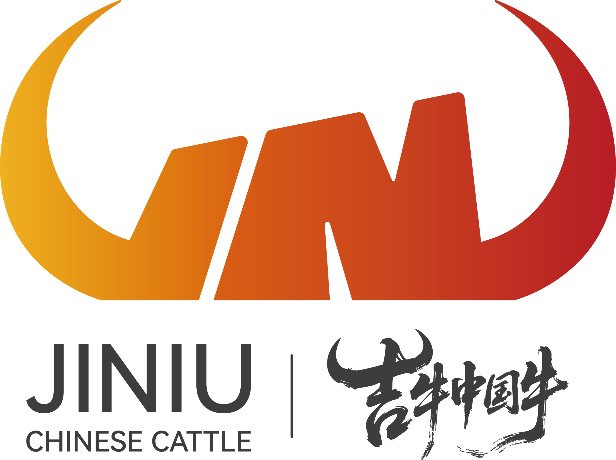 吉牛中国牛